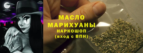 индика Каменногорск