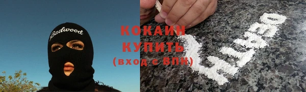 индика Каменногорск
