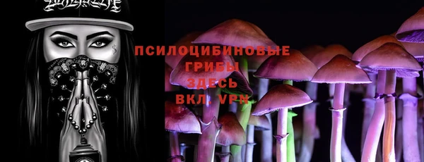 спиды Карпинск