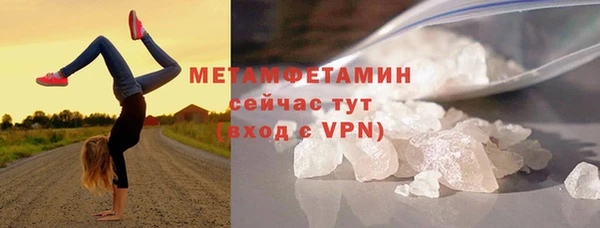 индика Каменногорск