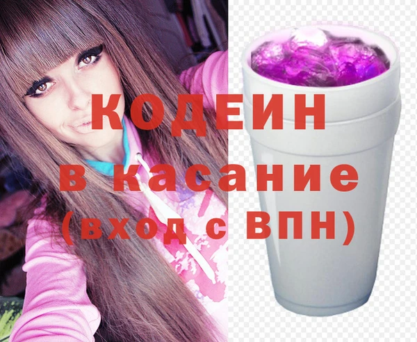 индика Каменногорск