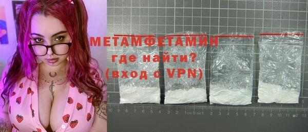 индика Каменногорск