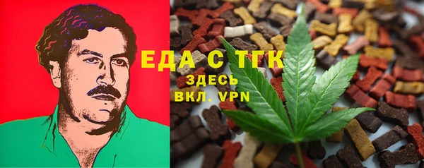 индика Каменногорск