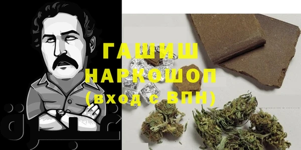индика Каменногорск