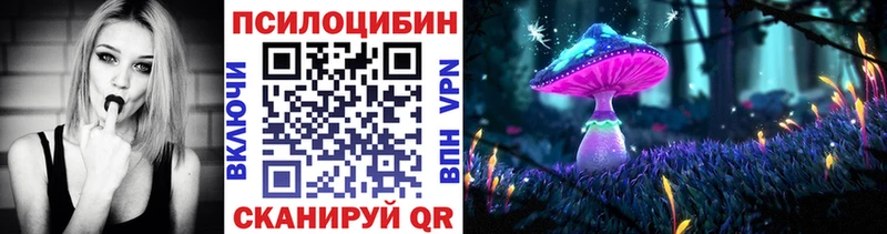 Псилоцибиновые грибы Psilocybe  Купить где  Гдов 